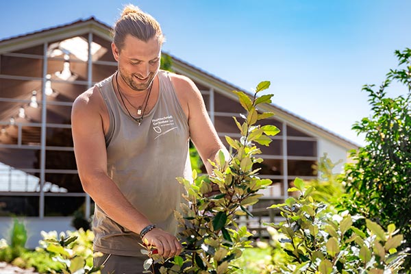 Garten- und Landschaftsbau